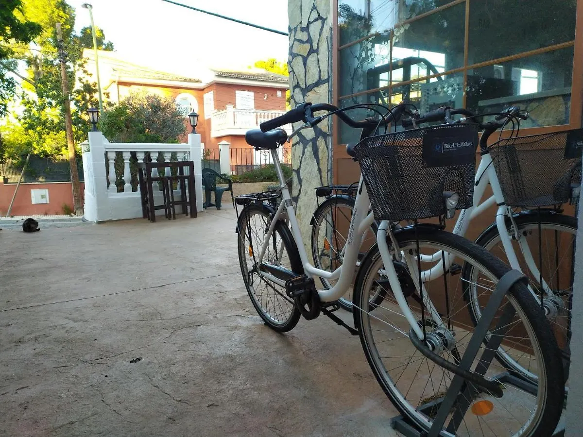 Gasthof Hostal Belgica Palmanova