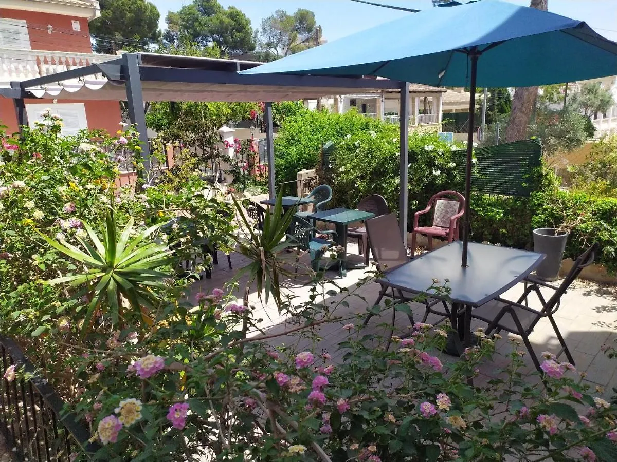 Hostal Belgica Palma Nova  Guest house