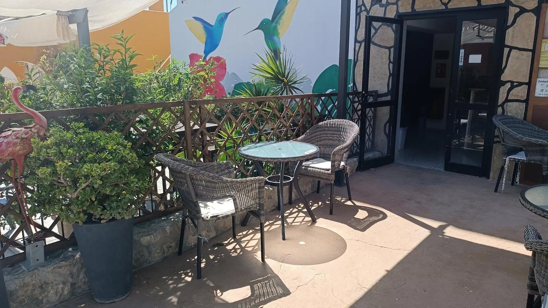 Hostal Belgica Palma Nova  Palma Nova (Mallorca)